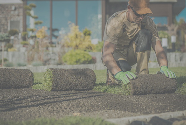 landscaping business