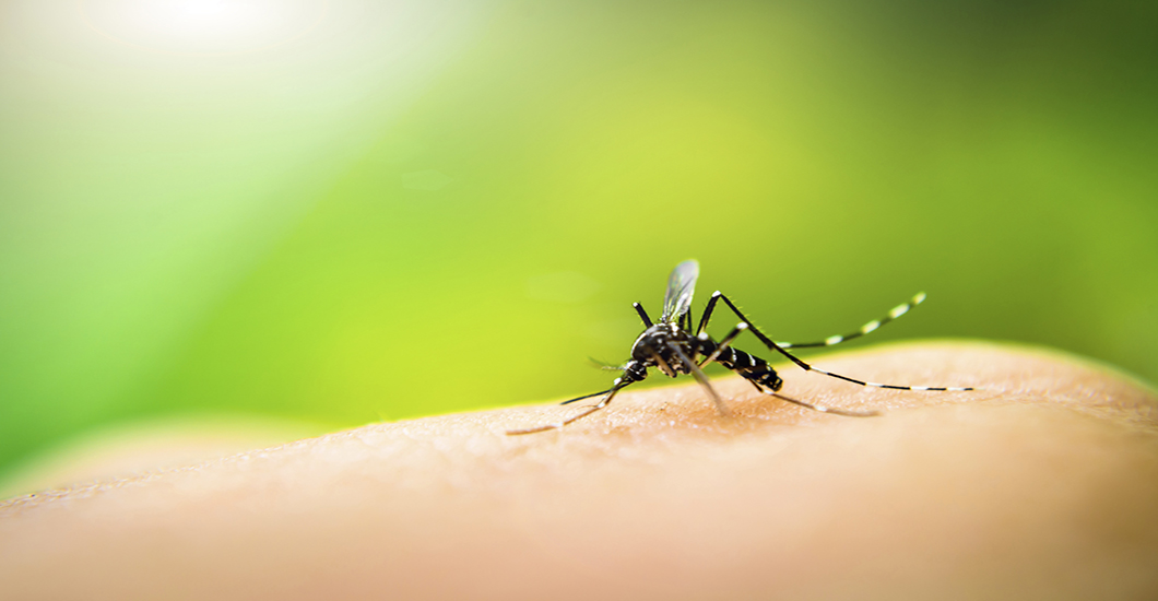 Mantente seguro contra el Zika