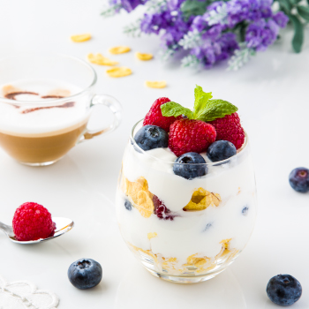 Alimentación Saludable: El Poder de los Probióticos